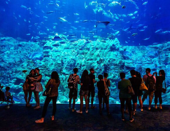 Hurghada Grand Aquarium