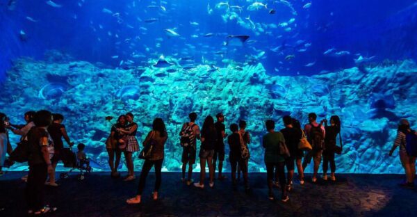 Hurghada Grand Aquarium